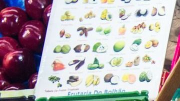 ¿Por qué hay que incluirlos en nuestra alimentación?