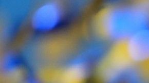 La sede para el siguiente mundial la anunciará la FIFA en mayo de 2020