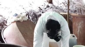 México vs "cocinas" de El Mayo Zambada en territorio del Cártel de Sinaloa