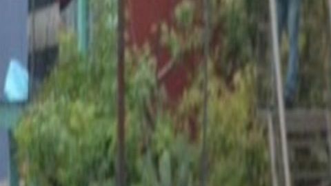 Narcos dejan descuartizados frente a parque donde había niños jugando