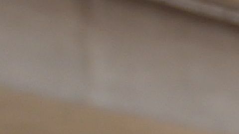 EL PSG y el brasileño Neymar, decidieron hacer la paz, por el momento.