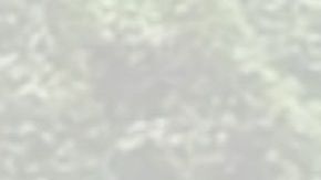 El agente aseguró la línea de rescate a un árbol río arriba.