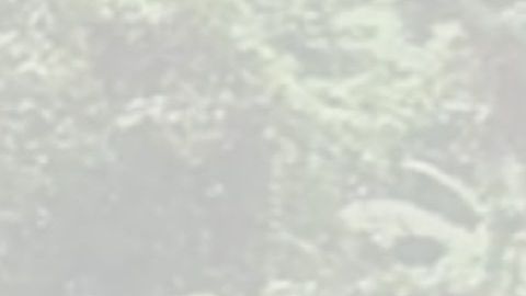 El agente aseguró la línea de rescate a un árbol río arriba.