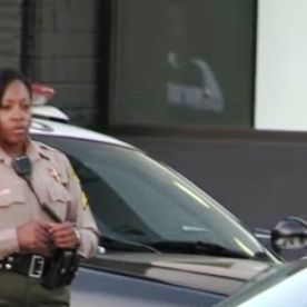 Gruber ha tenido varios encuentros con la policìa en NYC