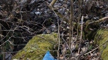 Los restos de la menor estaban en bolsas de plástico.
