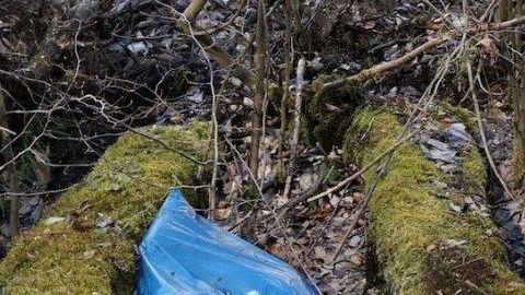 Los restos de la menor estaban en bolsas de plástico.