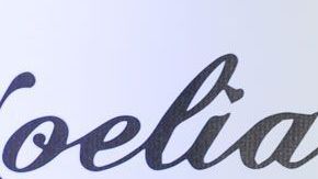 Noelia habló de su siguiente proyecto.