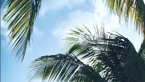 Sol y bajos impuestos en Florida