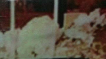 Carlos Salinas de Gortari y Enrieque Peña Nieto.