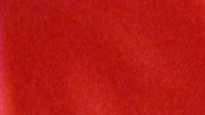 Protagonizó una histórica rivalidad con Julio César Chávez