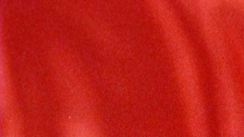 Protagonizó una histórica rivalidad con Julio César Chávez