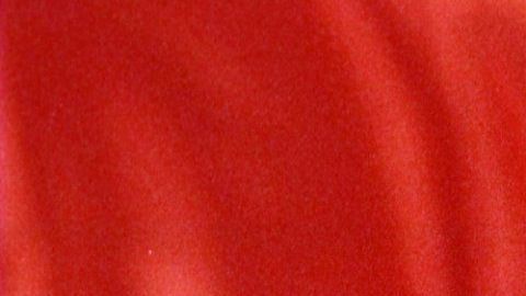 Protagonizó una histórica rivalidad con Julio César Chávez