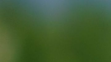 Crear tus propios remedios caseros es un hábito lleno de beneficios, son aptos para toda la familia y limitarás el consumo de químicos ayudando al medio ambiente.