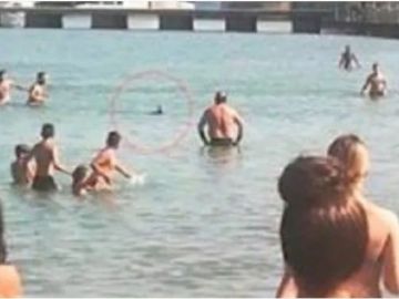 Los turistas creyeron que se trataba de un tiburón.