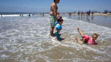 Con la llegada del verano, las playas de San Diego registran una mayor afluencia de residentes y turistas, pero también de rayas y con ellas los riesgos de sufrir una picadura, tal como advierten las autoridades locales.