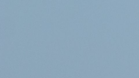 Solo el 38% de los americanos usará el tiempo de vacaciones pagadas al que tienen derecho por contrato./Shutterstock