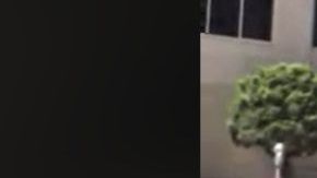 Policia llamada racial