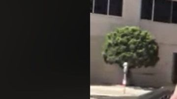 Policia llamada racial