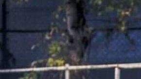 Óscar Jiménez será titular en la jornada 3 contra Xolos de Tijuana.