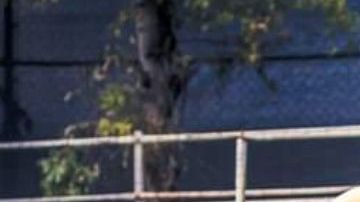 Óscar Jiménez será titular en la jornada 3 contra Xolos de Tijuana.