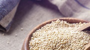 La quinoa es un alimento que contiene 10 aminoácidos esenciales que son muy importantes para el hombre.