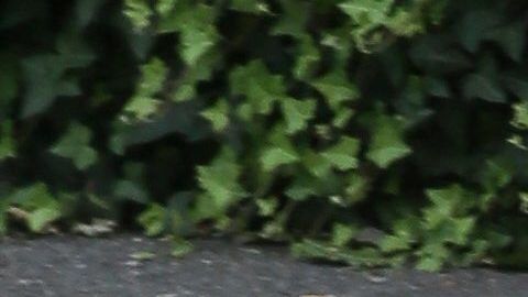 Pippa Middleton
London, July 12, 2019. 
Pippa Matthews (Middleton) and James Matthews attend Day 11 of the Wimbledon Tennis Championships at All England Lawn Tennis and Croquet Club in London, England.