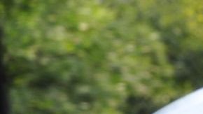 Al menos 19 coches estacionados fueron vandalizados en el vecindario de Rogers Park al norte de Chicago, indicaron las autoridades.