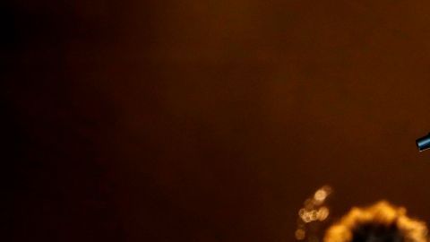 Los músicos tienen jugosas ganancias de las giras que suelen recaudar cientos de millones de dólares.