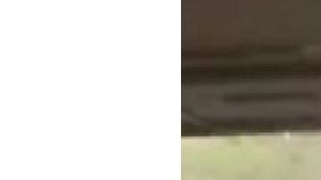 Un safari que casi termina en tragedia.