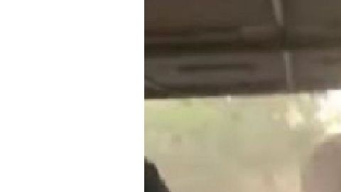 Un safari que casi termina en tragedia.