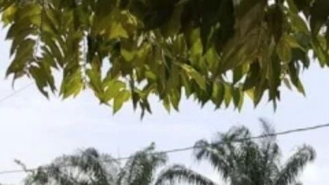 Las autoridades investigan la zona del crimen, donde un niño de 12 años perdió la vida.