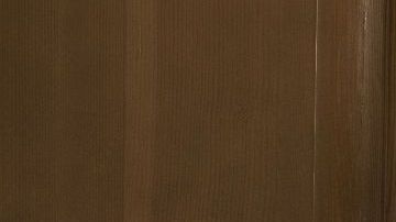 Brenda Song en "Secret obsession"