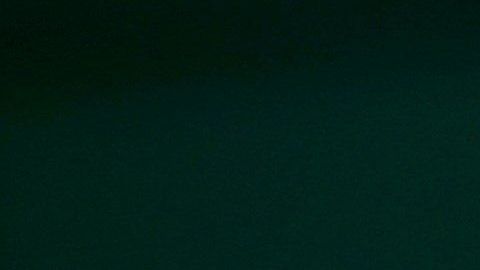 La estadounidense busca su octavo título en este torneo y un récord histórico