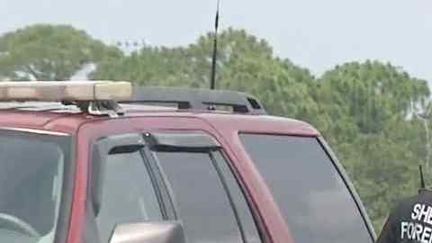 Los investigadores dijeron que hay signos de que los cocodrilos pudieran haber tenido contacto con el cuerpo.