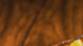 Los tacos al pastor son un manjar al paladar.