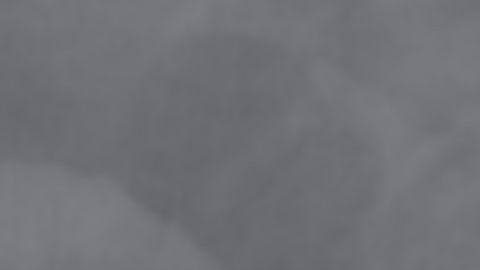 shutterstock_1089900326