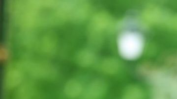 shutterstock_1106026253