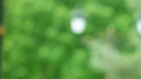 shutterstock_1106026253