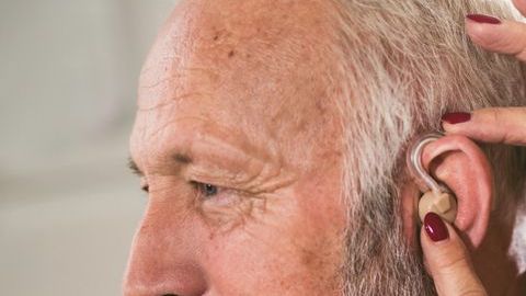 shutterstock_1150312364