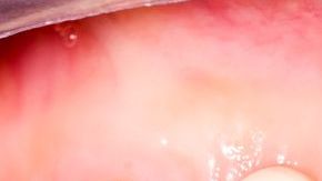 shutterstock_129331382