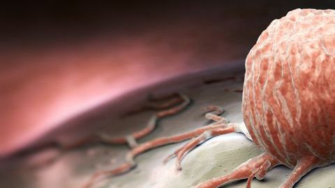 Las células cancerosas consumen rápidamente a las células sanas.