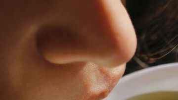 shutterstock_358214087