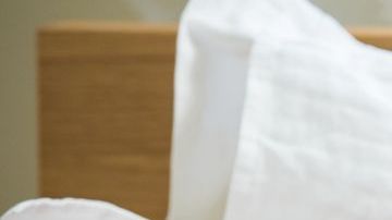 shutterstock_493198735