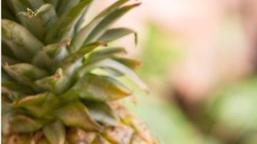 La piña es una excelente fuente de antioxidantes, agentes que previenen el envejecimiento prematuro.