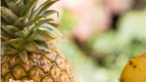 La piña es una excelente fuente de antioxidantes, agentes que previenen el envejecimiento prematuro.