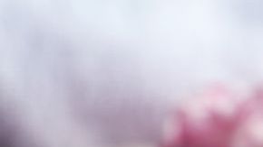 La aguja la encontró en uno de los cajones de su abuela.