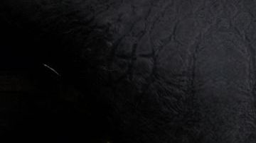 El hombre siempre se ha fascinado por encontrar vida extraterrestre.