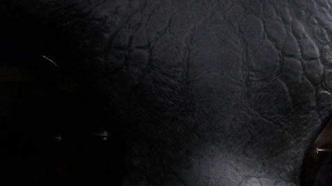 El hombre siempre se ha fascinado por encontrar vida extraterrestre.