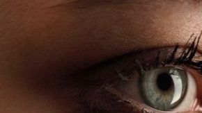 shutterstock_97922762