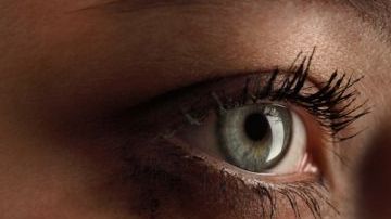 shutterstock_97922762